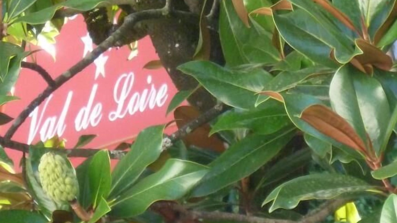 Photo of Outdoor in Azay-le-Rideau