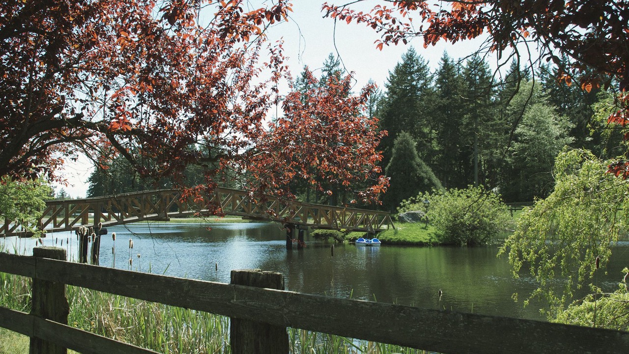 Photo of Outdoor in Oak Harbor