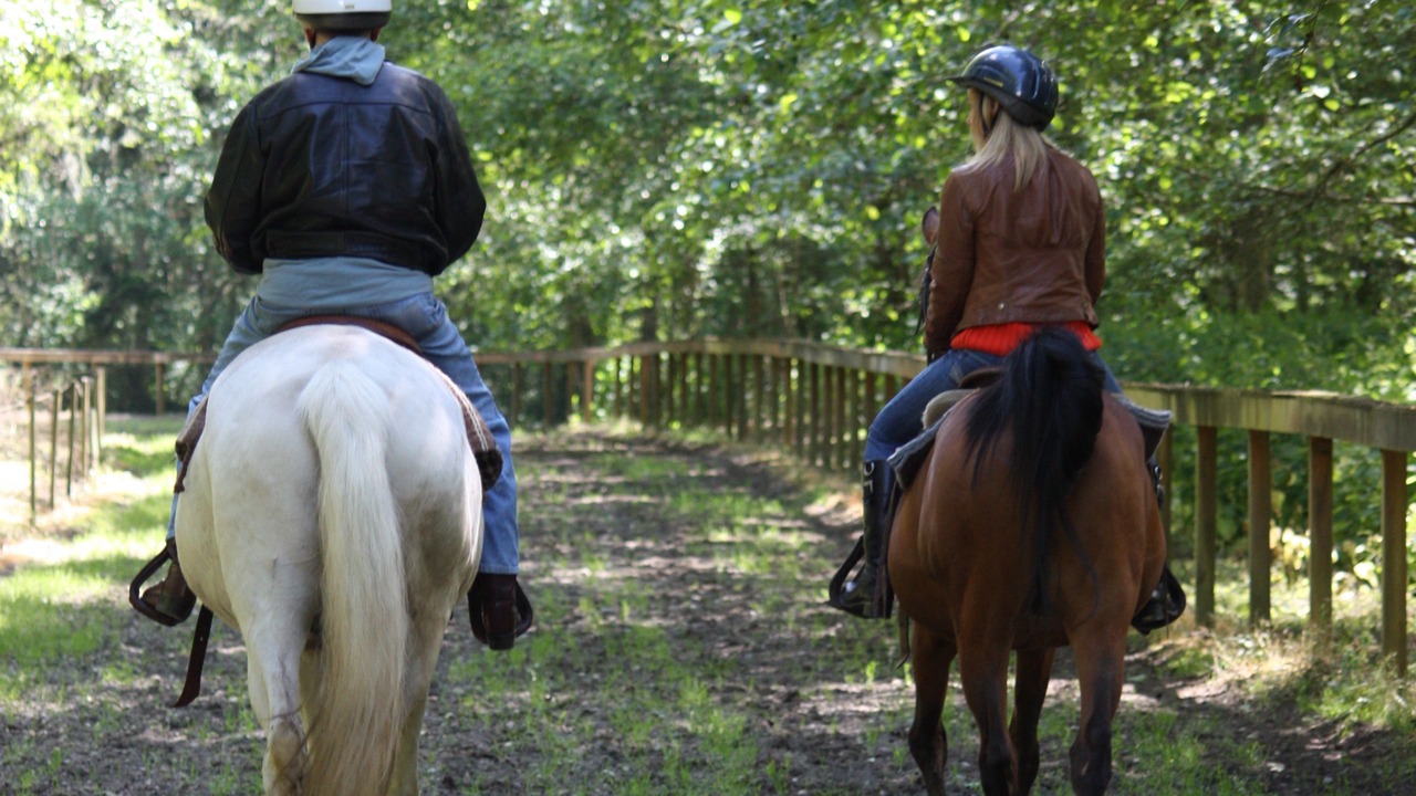 Photo of Outdoor in Oak Harbor
