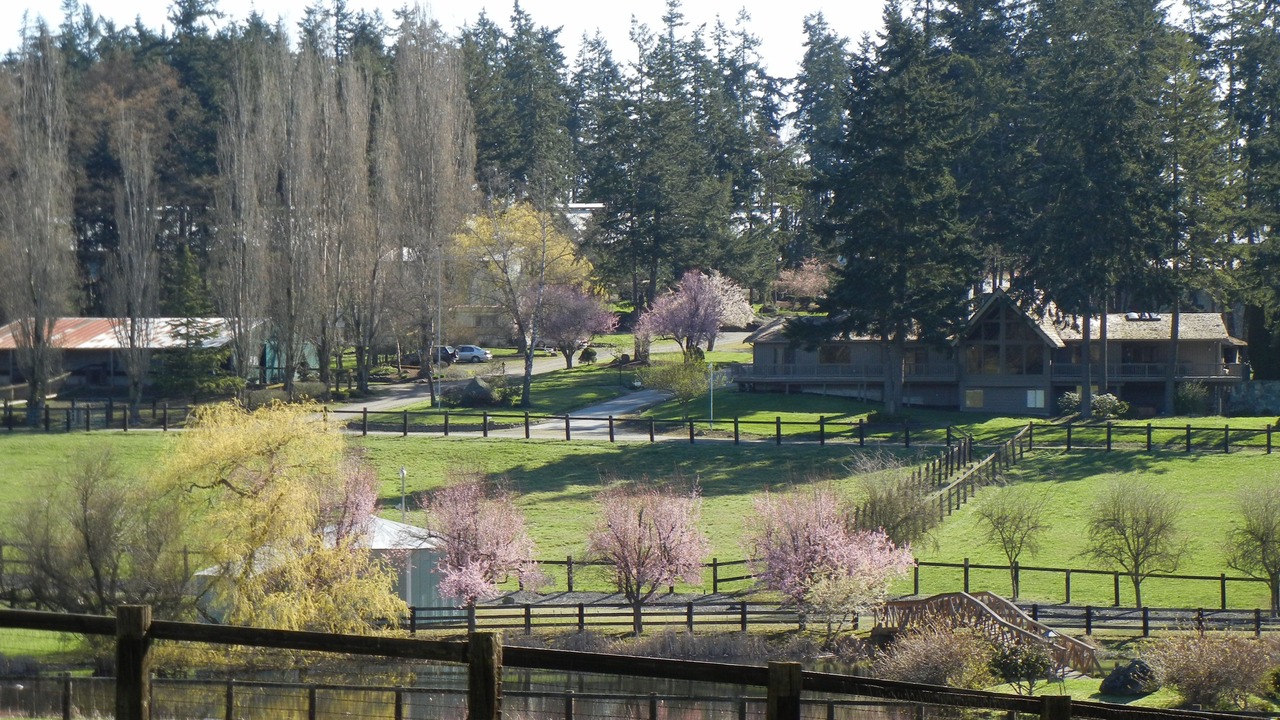 Photo of Outdoor in Oak Harbor