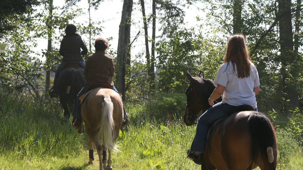 Photo of Others in Oak Harbor