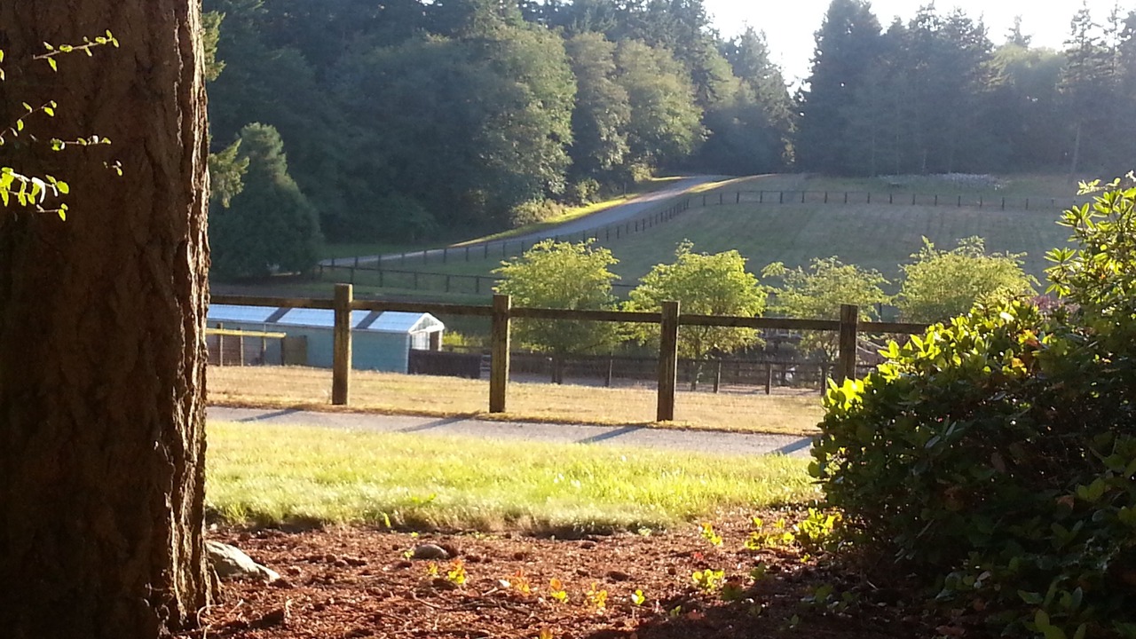 Photo of Bedroom in Oak Harbor