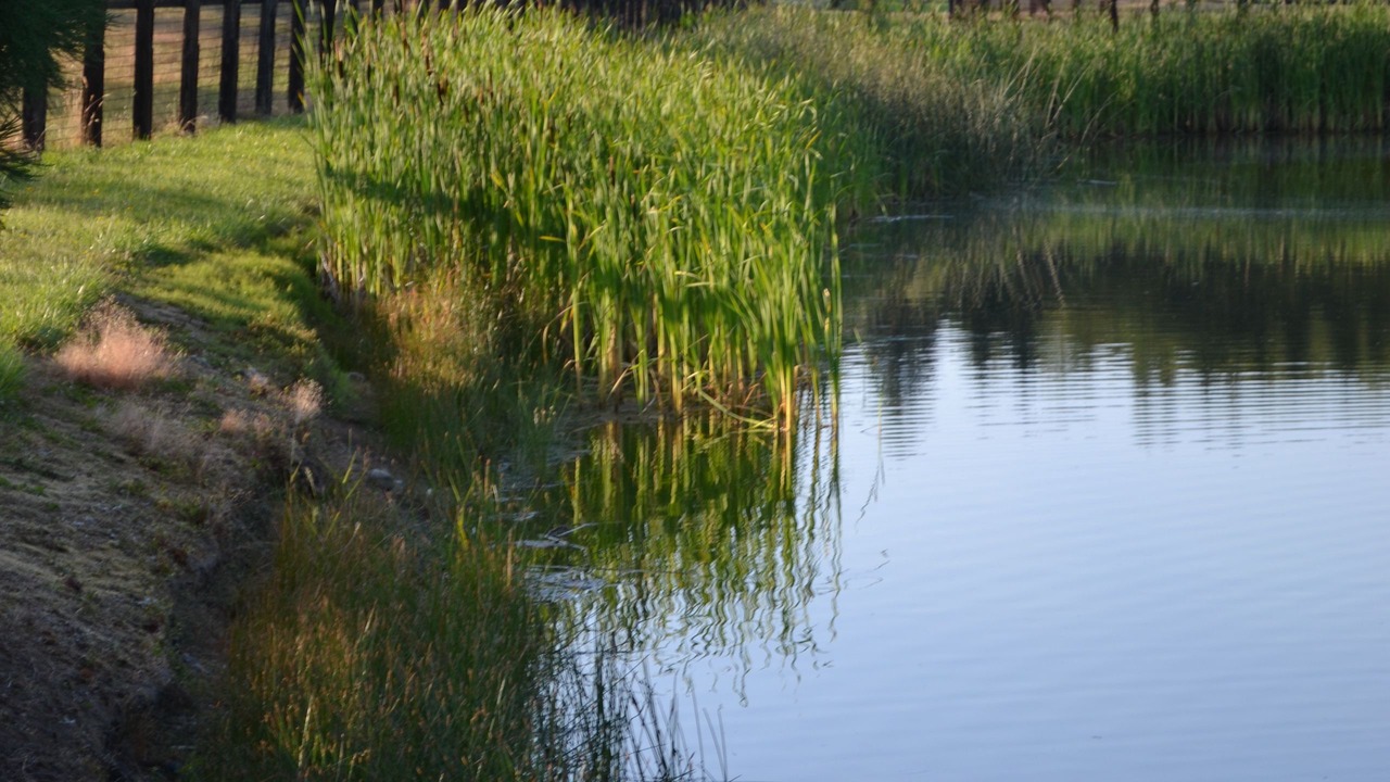 Photo of Outdoor in Oak Harbor