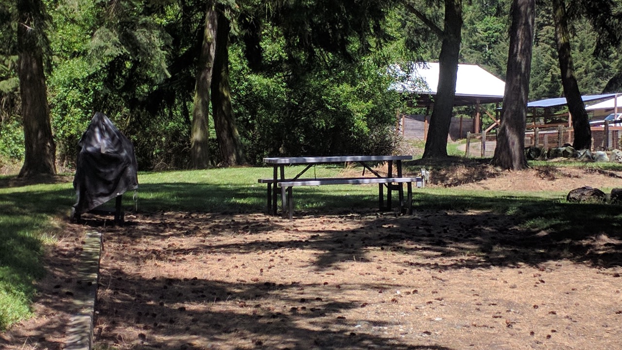 Photo of Others in Oak Harbor