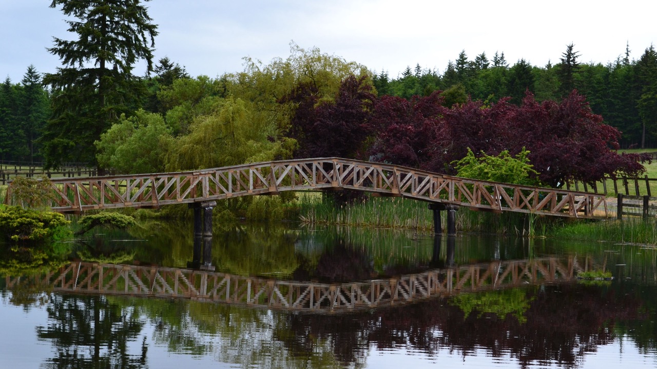 Photo of Others in Oak Harbor