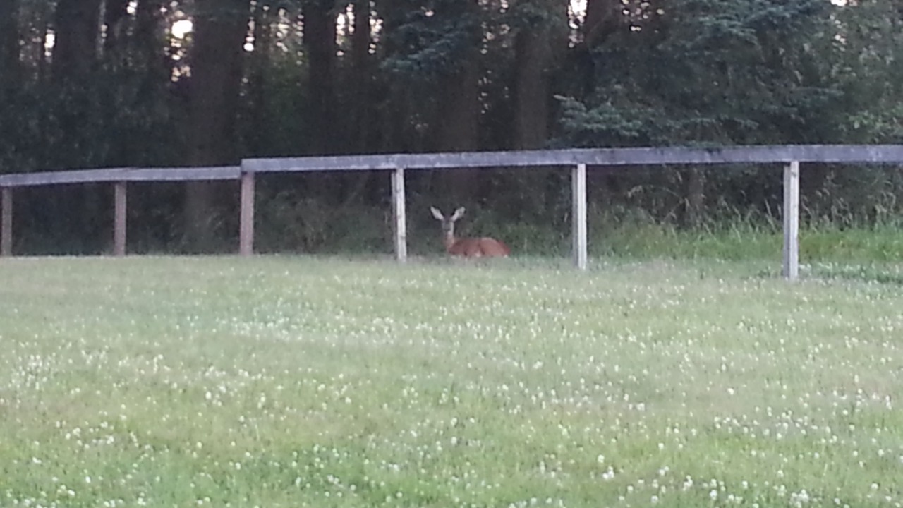 Photo of Outdoor in Oak Harbor