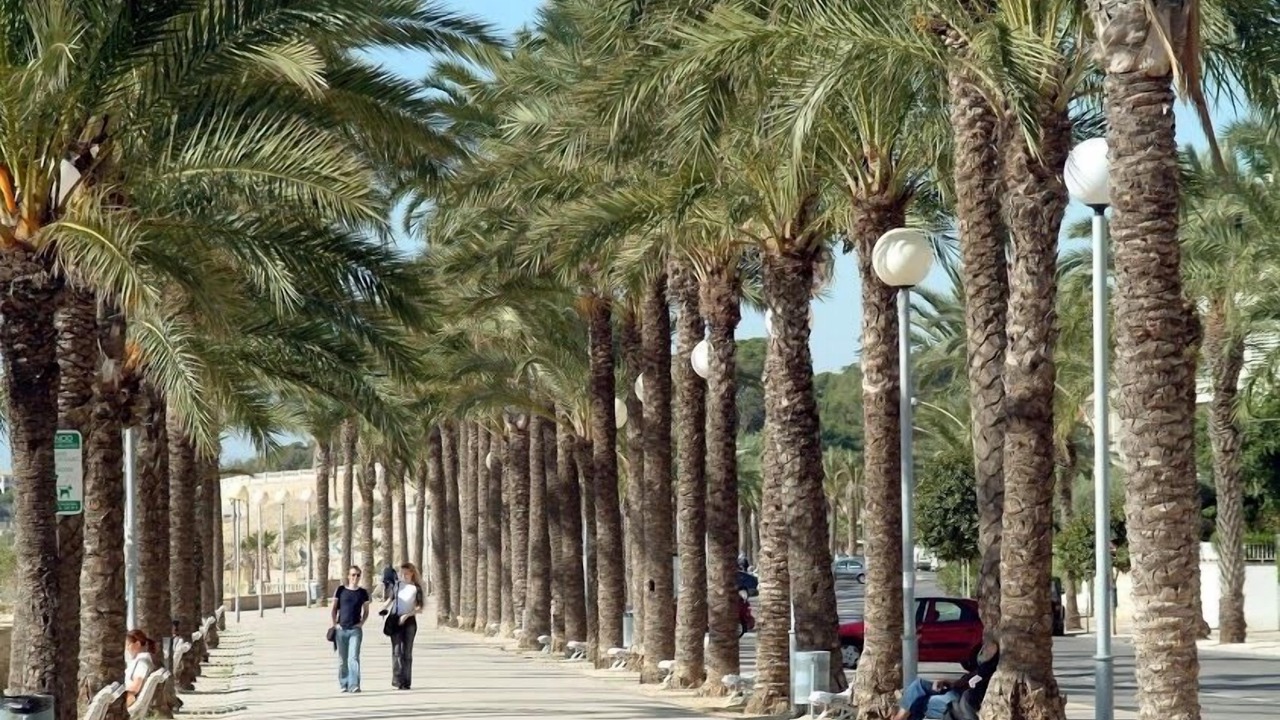 Photo of Outdoor in Vilanova I la Geltru