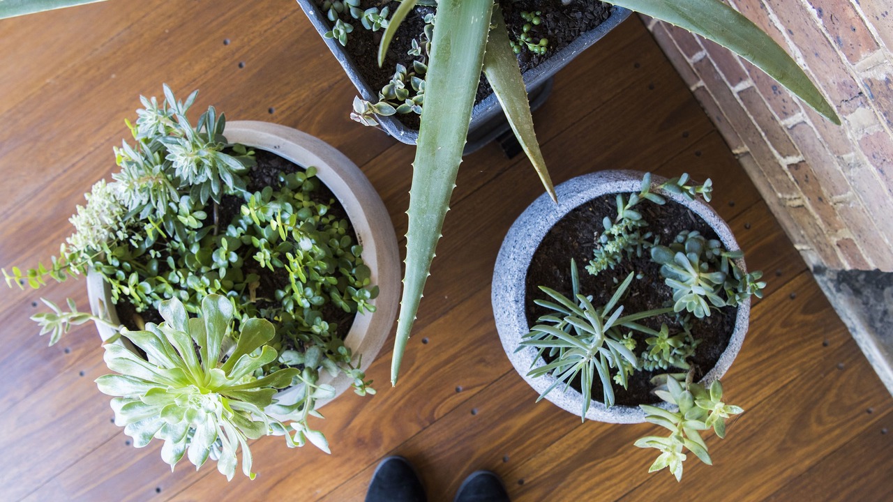 Photo of Others in Central Mudgee