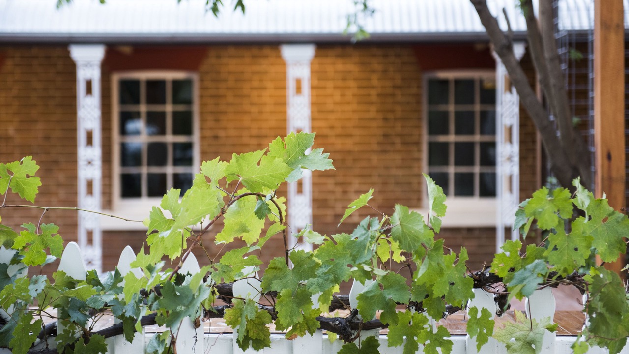 Photo of Outdoor in Central Mudgee