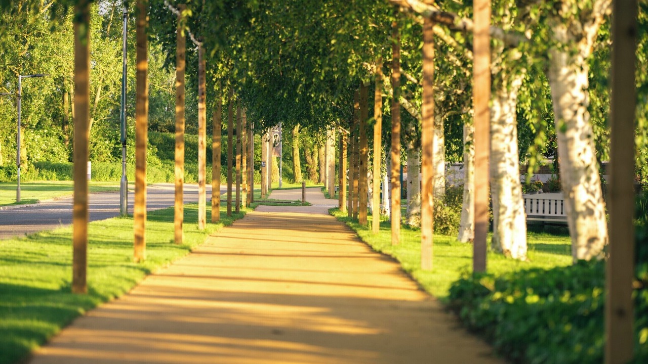 Photo of Outdoor in Wyboston