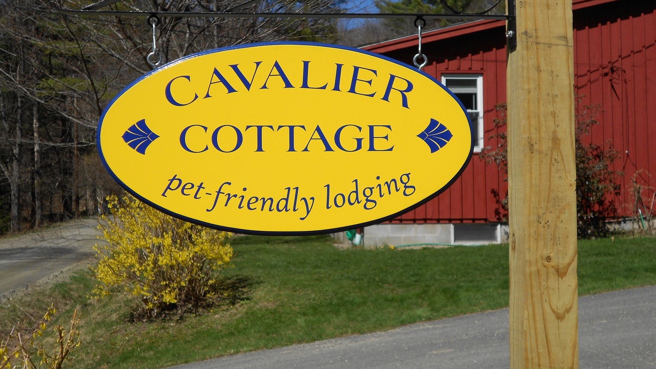 Photo of Outdoor in Shelburne Falls