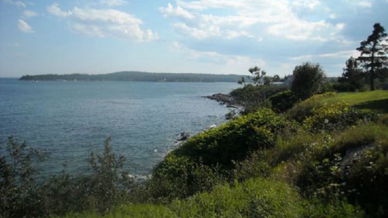 Photo of Others in Calais