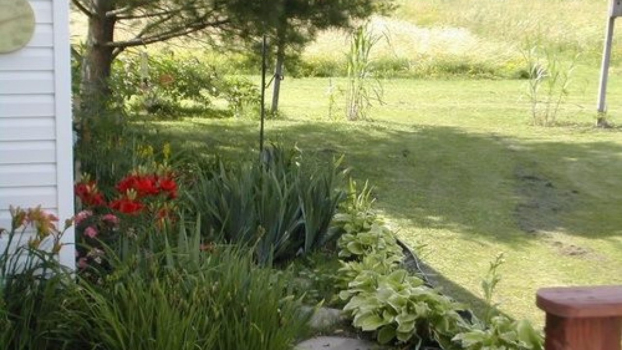 Photo of Outdoor in Rock Stream