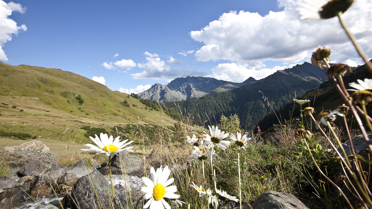Photo of Outdoor in Ravaisch