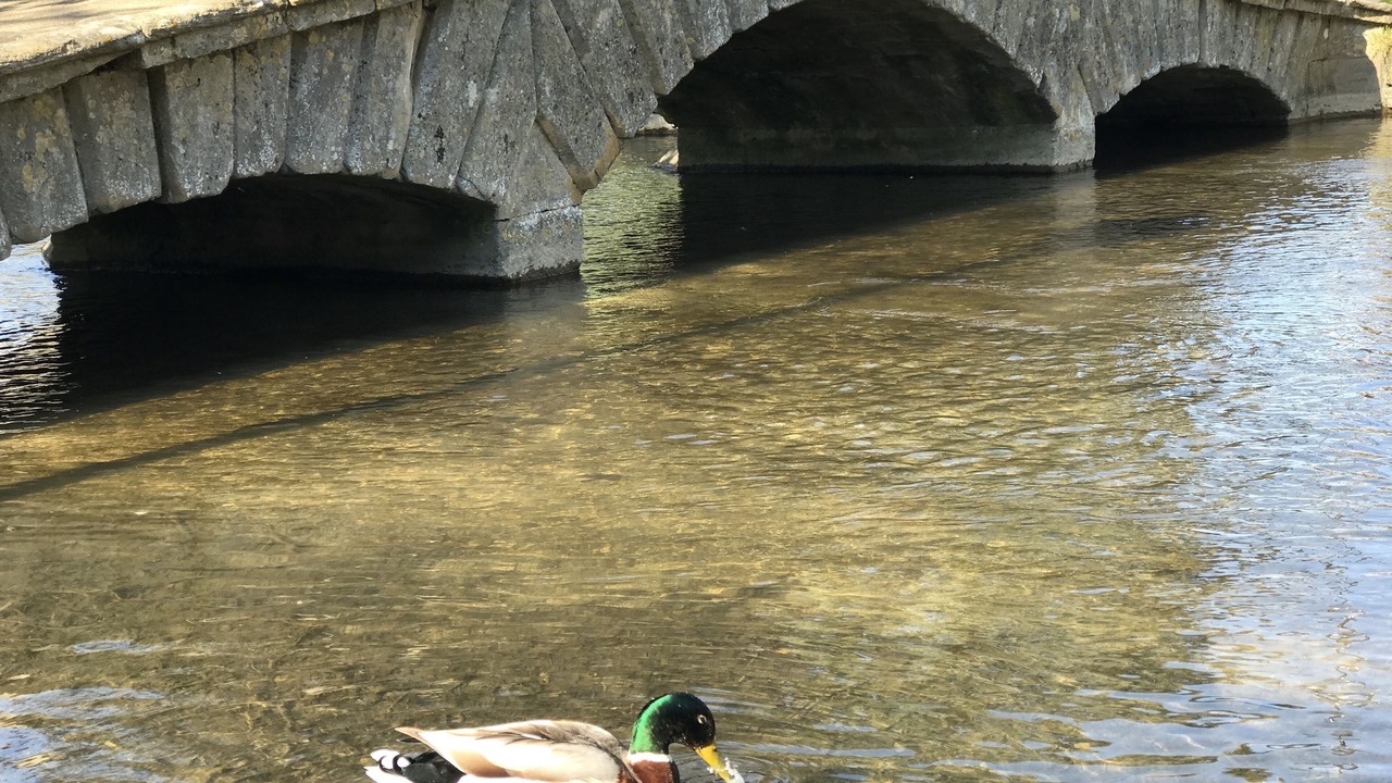 Photo of Others in Bourton-on-the-Water