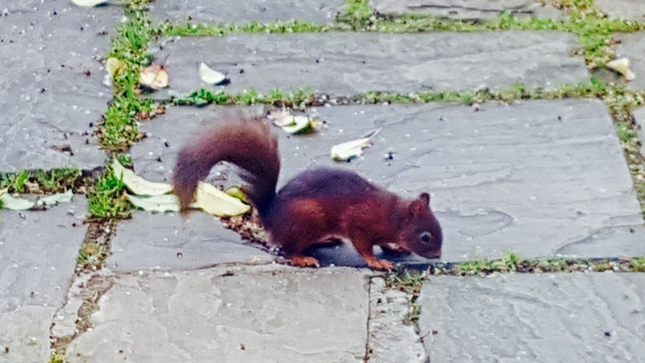 Photo of Patio Balcony in Cairndow