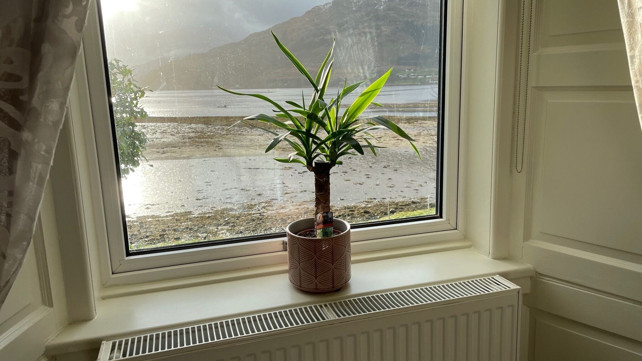 Photo of Outdoor in Cairndow