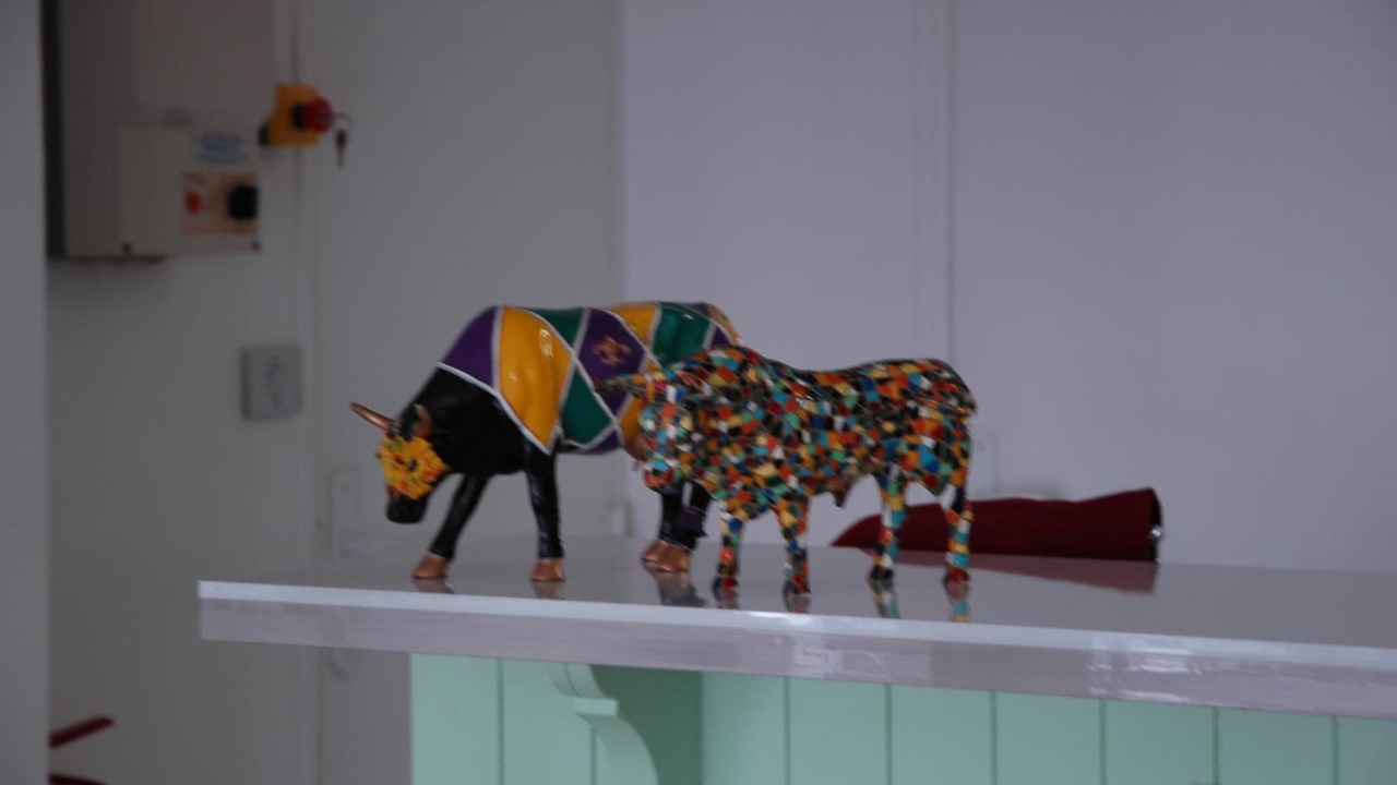 Photo of Others in Castres