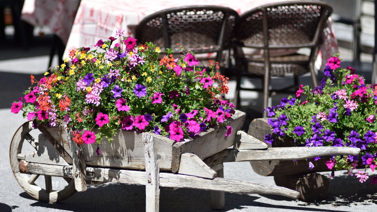 Photo of Outdoor in Hauderes