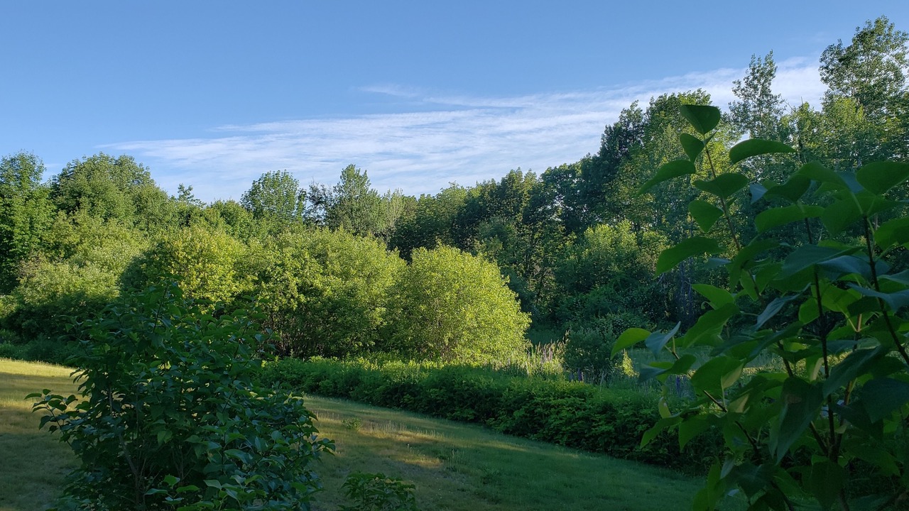 Photo of Bedroom in Walpole