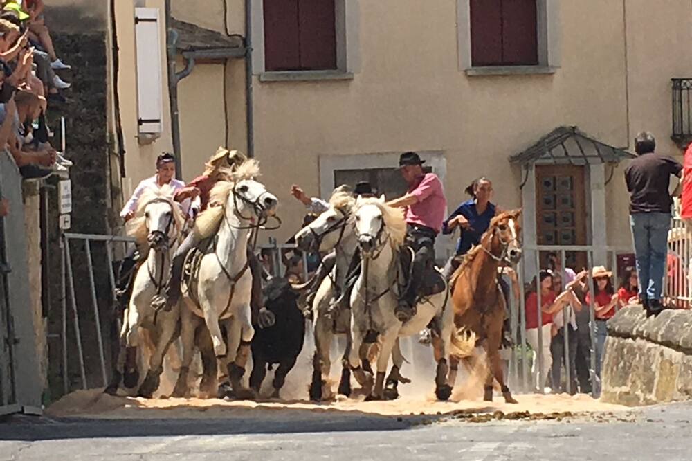 Photo of Outdoor in Lauroux