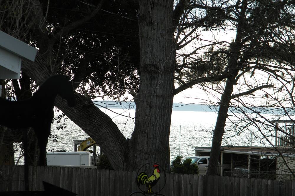 Photo of Outdoor in West Livingston