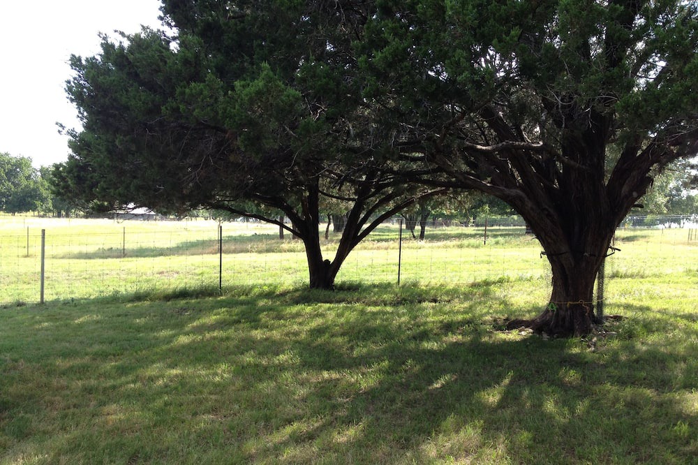 Photo of Others in Gatesville