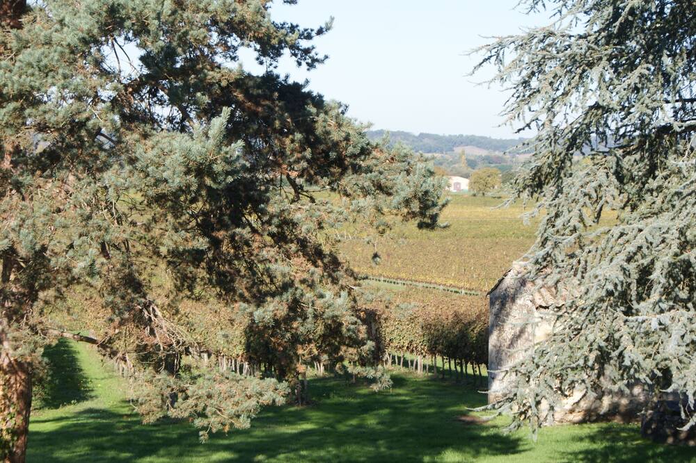 Photo of Outdoor in Castillon - Pujols Intercommunalite