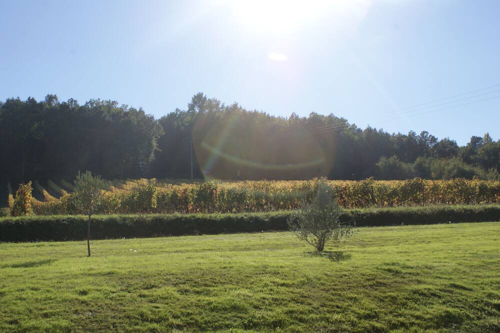 Photo of Outdoor in Castillon - Pujols Intercommunalite