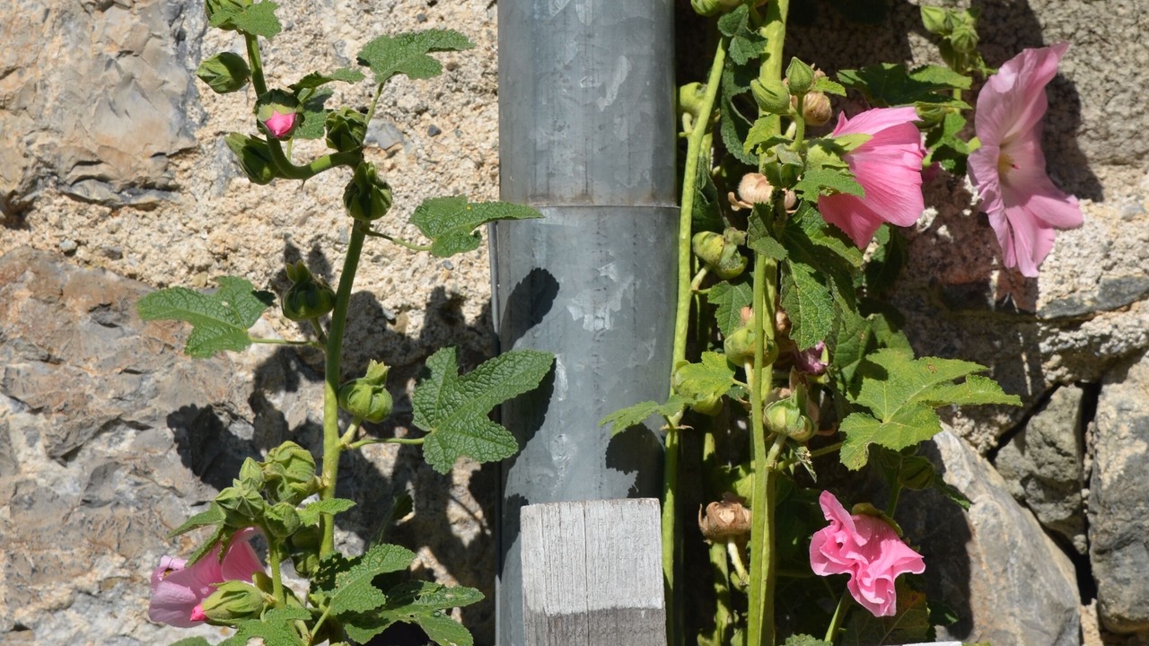 Photo of Outdoor in Saint-Bonnet-en-Champsaur