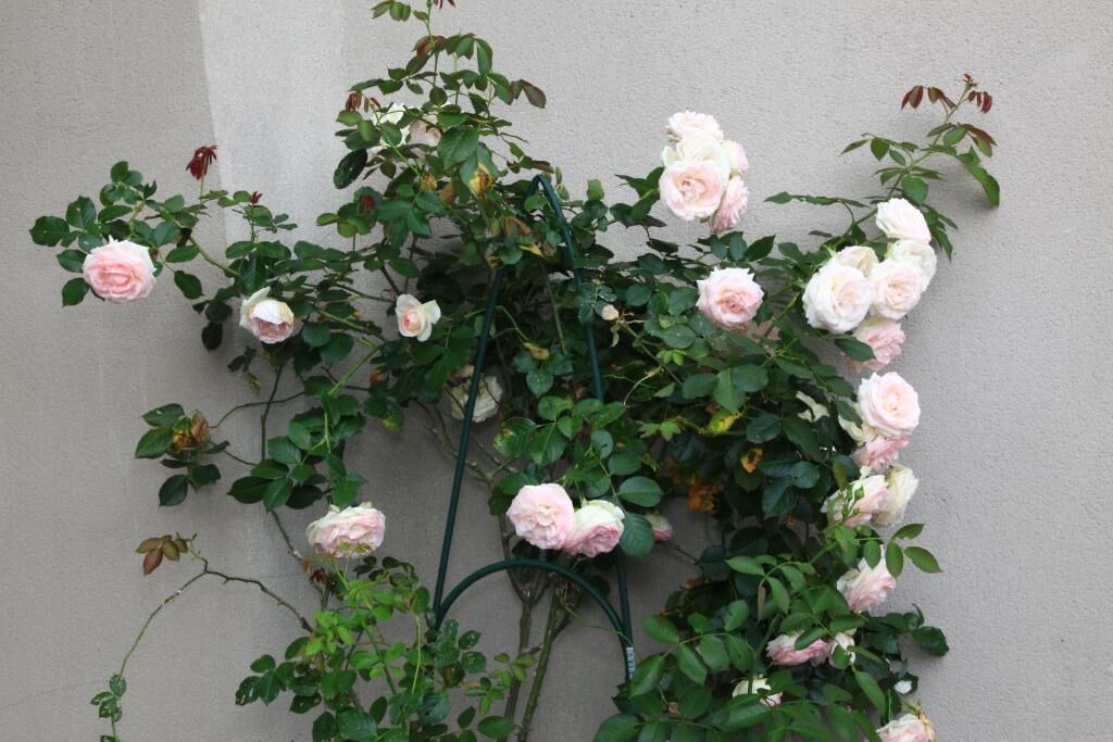 Photo of Outdoor in Chateauneuf-en-Thymerais