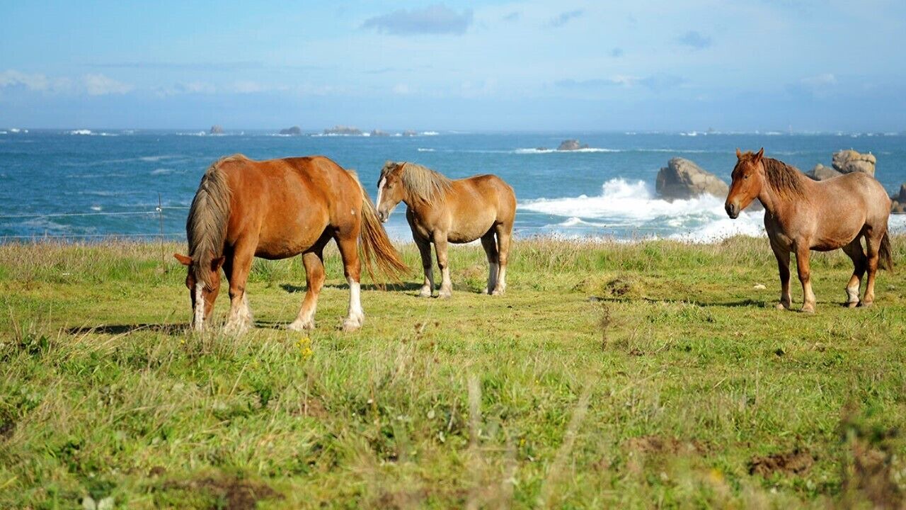 Photo of Others in Lanildut