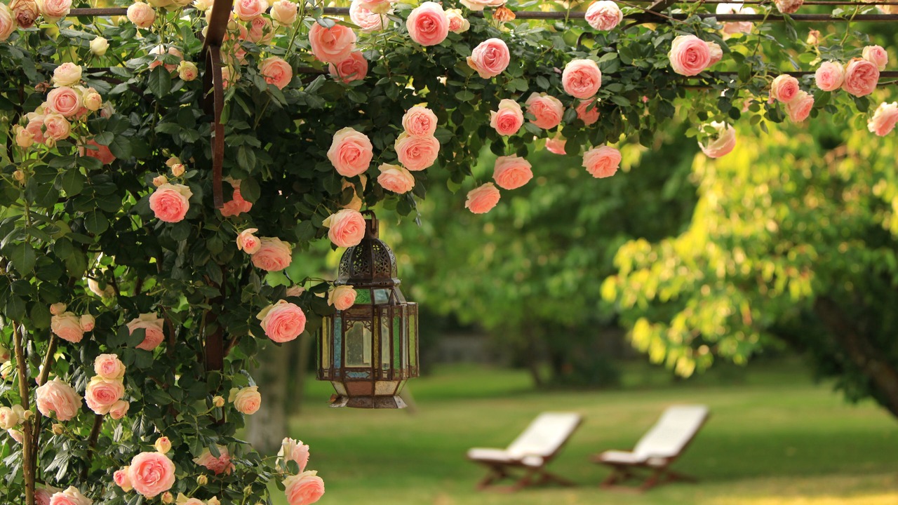 Photo of Outdoor in Vic-en-Bigorre