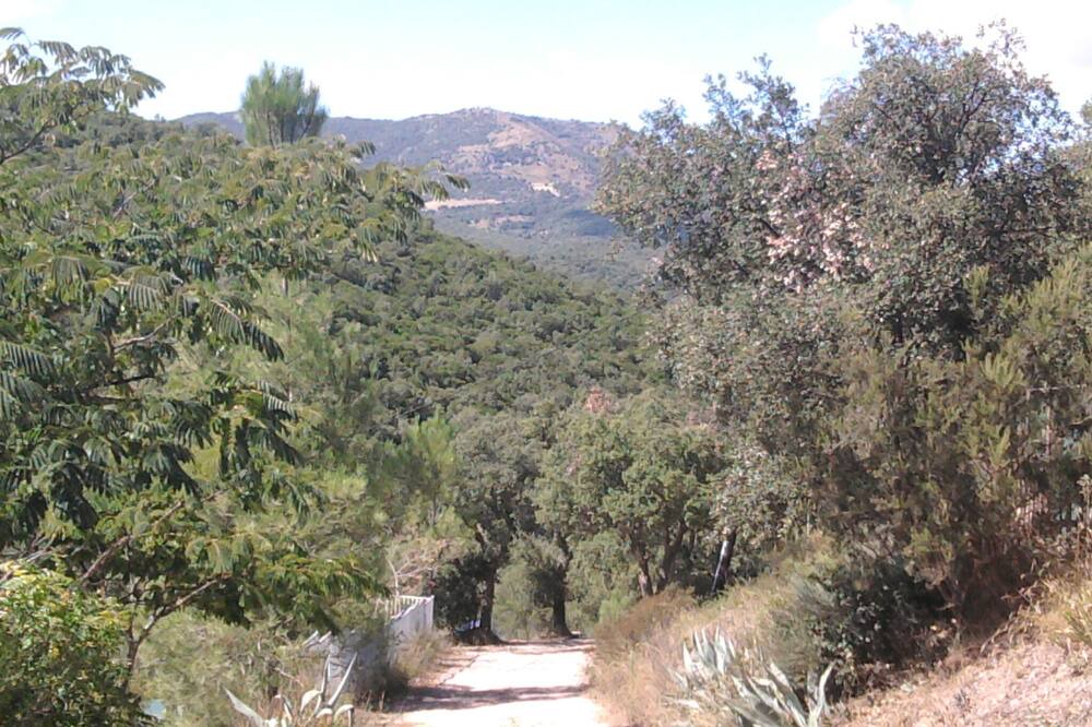 Photo of Others in Montauriol