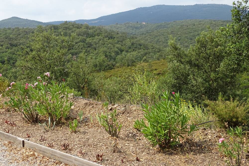 Photo of Outdoor in Montauriol