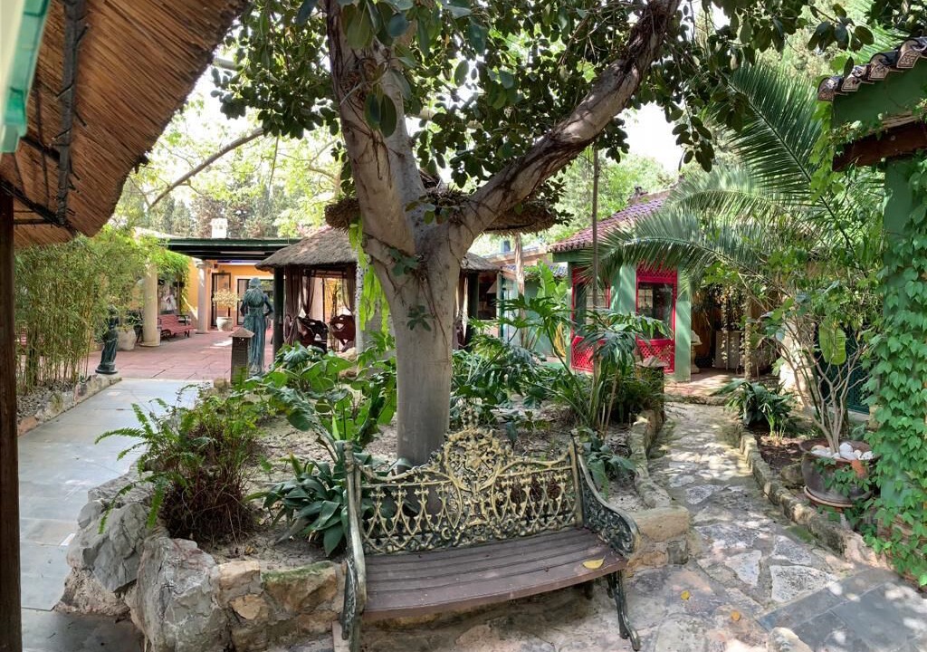 Photo of Outdoor in Alicante