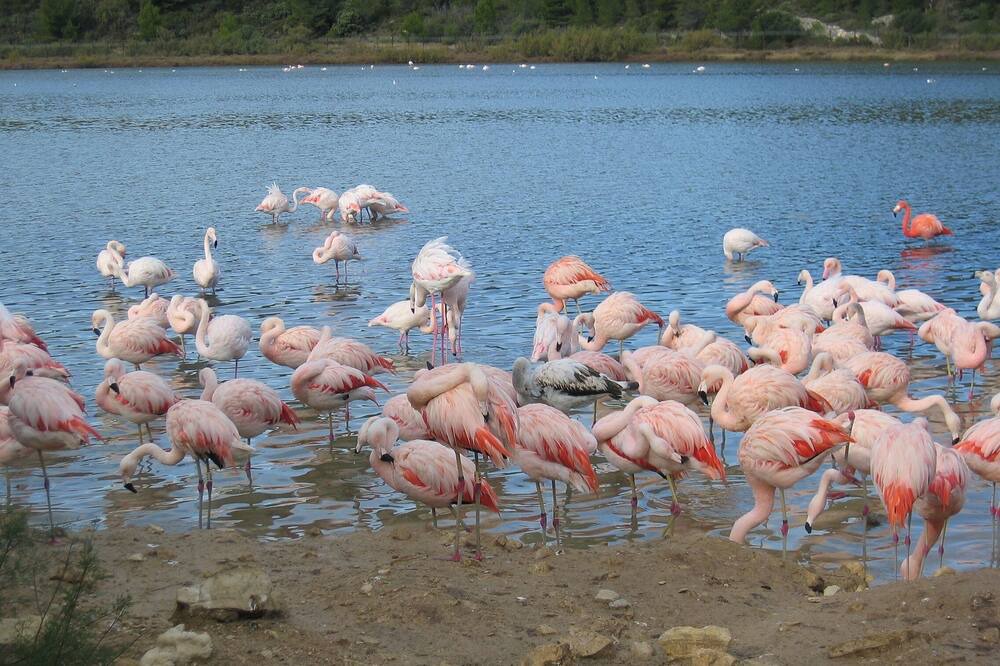 Photo of Others in La Palme