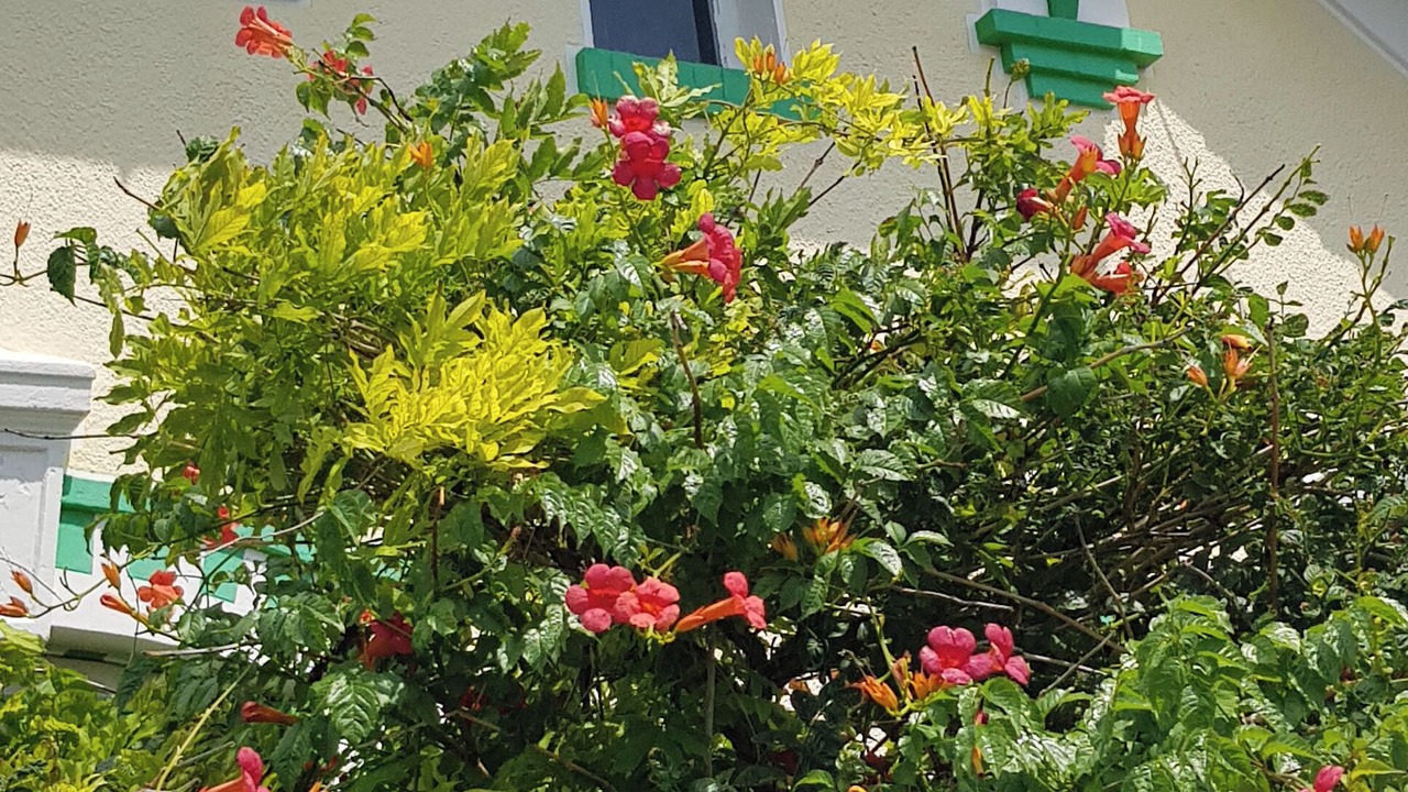 Photo of Outdoor in Quartier du Casino