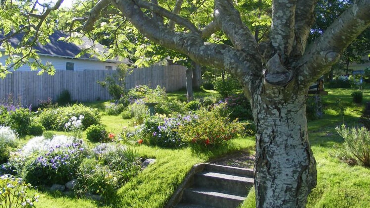 Photo of Outdoor in Harbour Grace
