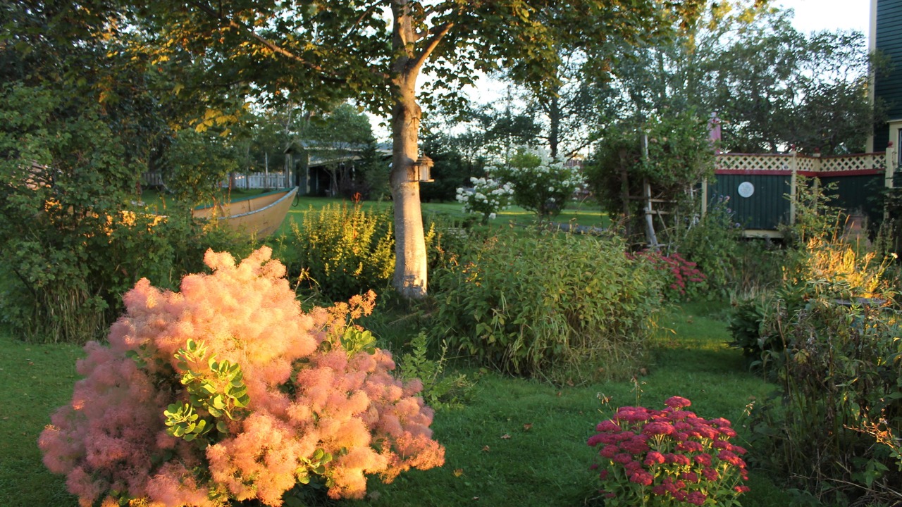 Photo of Outdoor in Harbour Grace