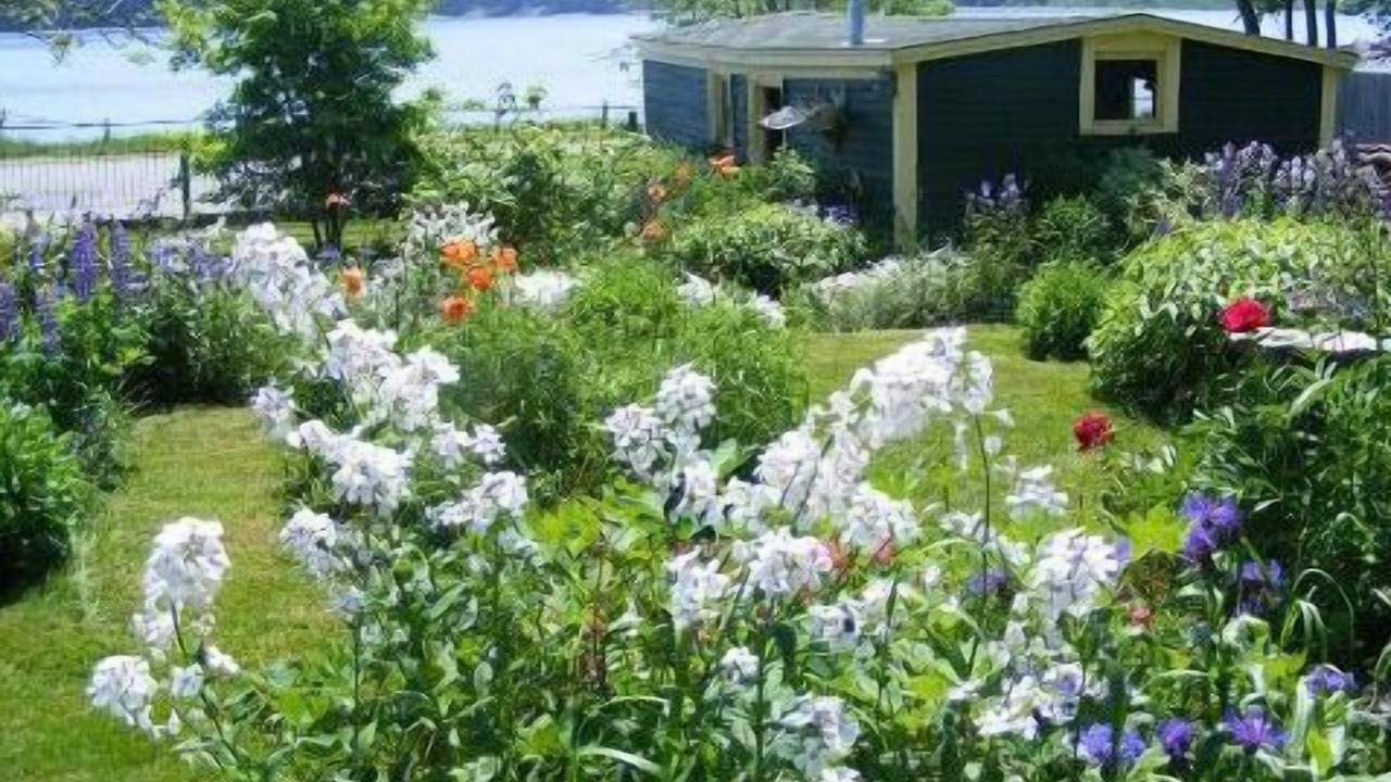 Photo of Outdoor in Harbour Grace