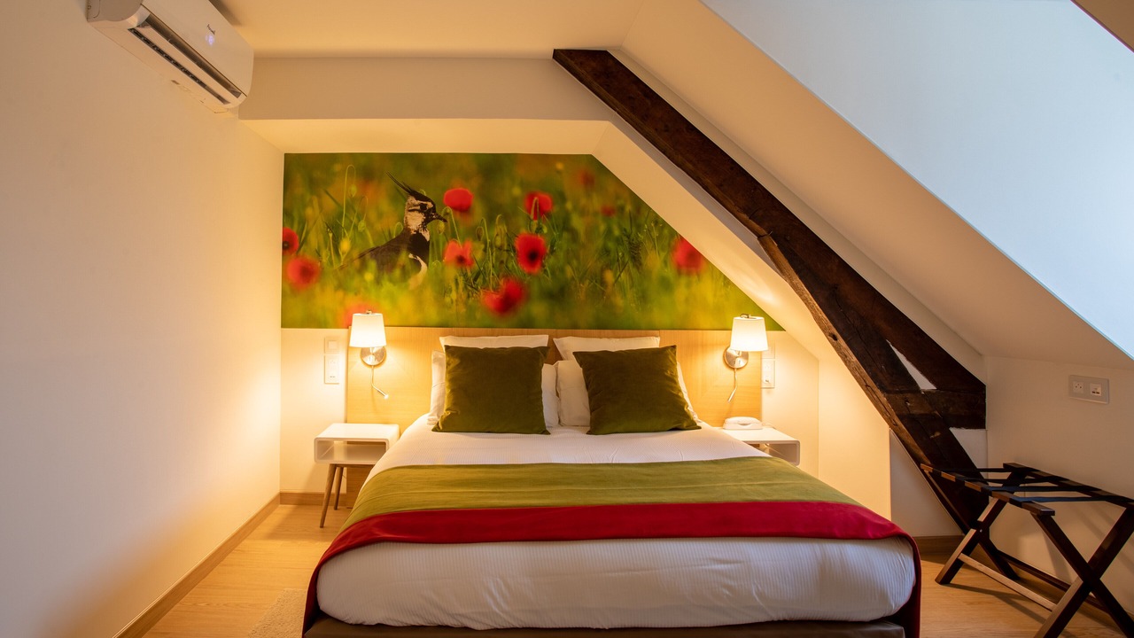 Photo of Bedroom in Lamotte-Beuvron
