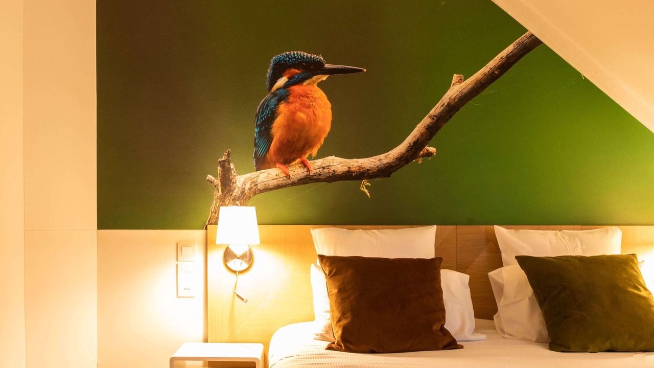 Photo of Bedroom in Lamotte-Beuvron