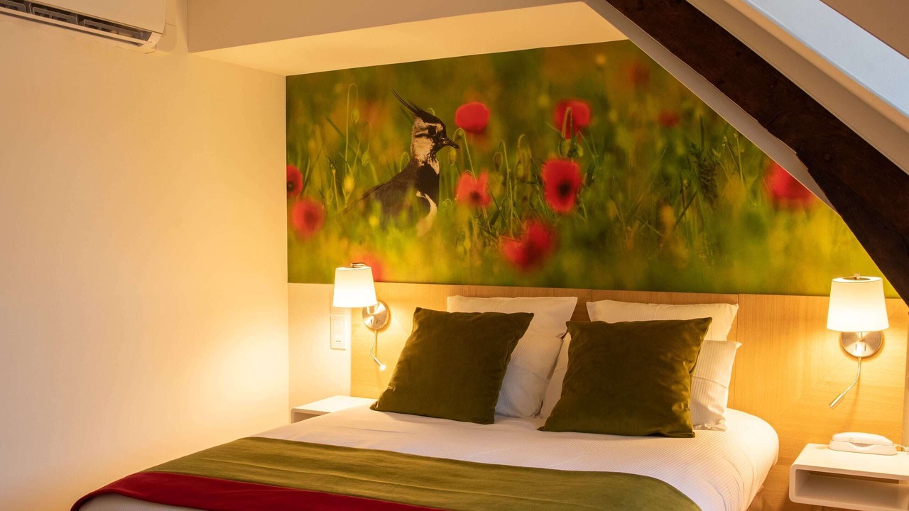 Photo of Bedroom in Lamotte-Beuvron