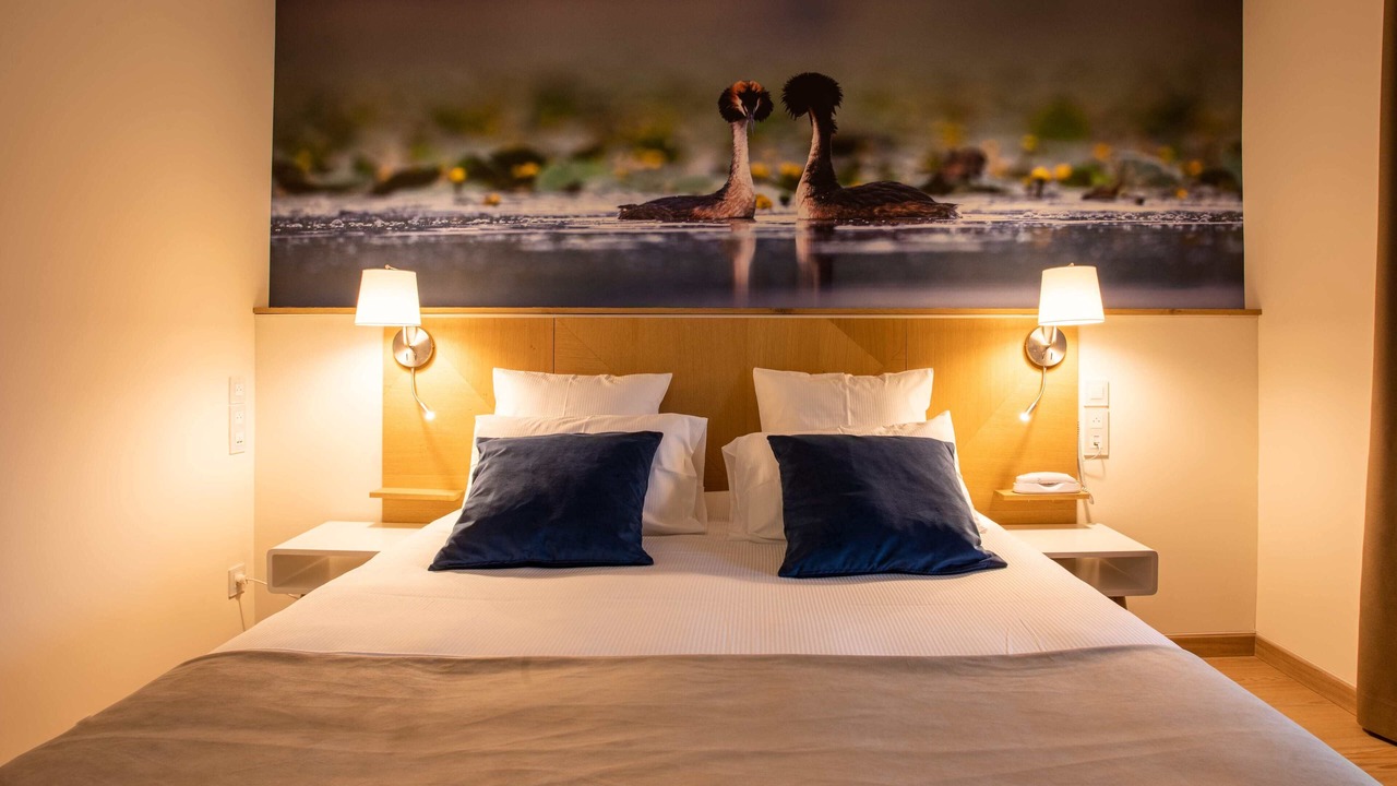 Photo of Bedroom in Lamotte-Beuvron