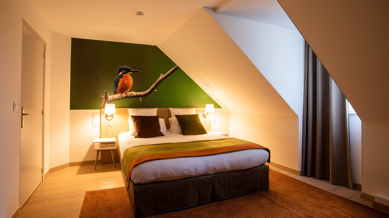 Photo of Bedroom in Lamotte-Beuvron