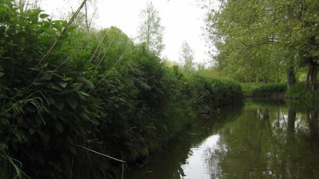 Photo of Others in Centre Ville