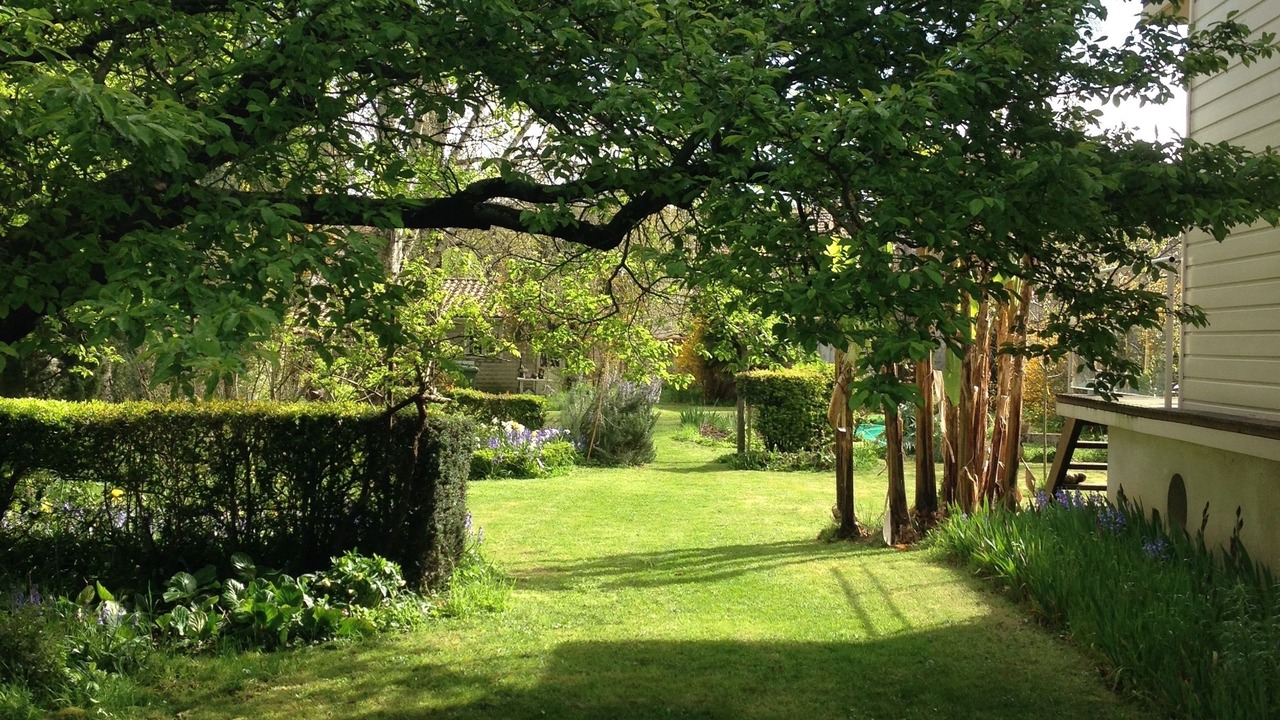 Photo of Outdoor in Centre Ville