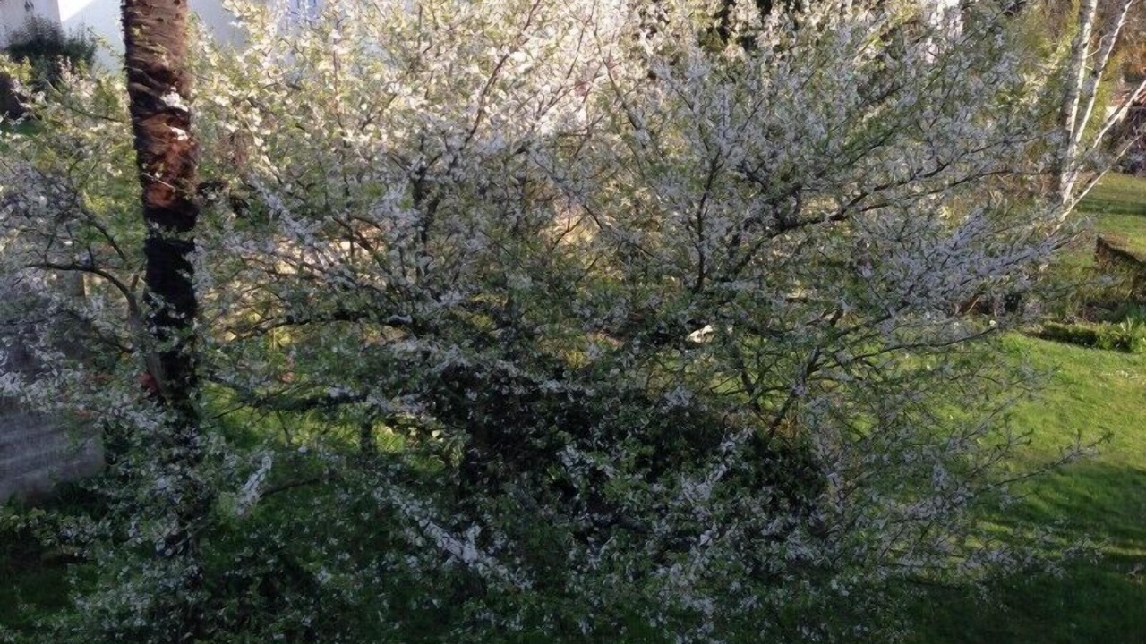 Photo of Outdoor in Centre Ville