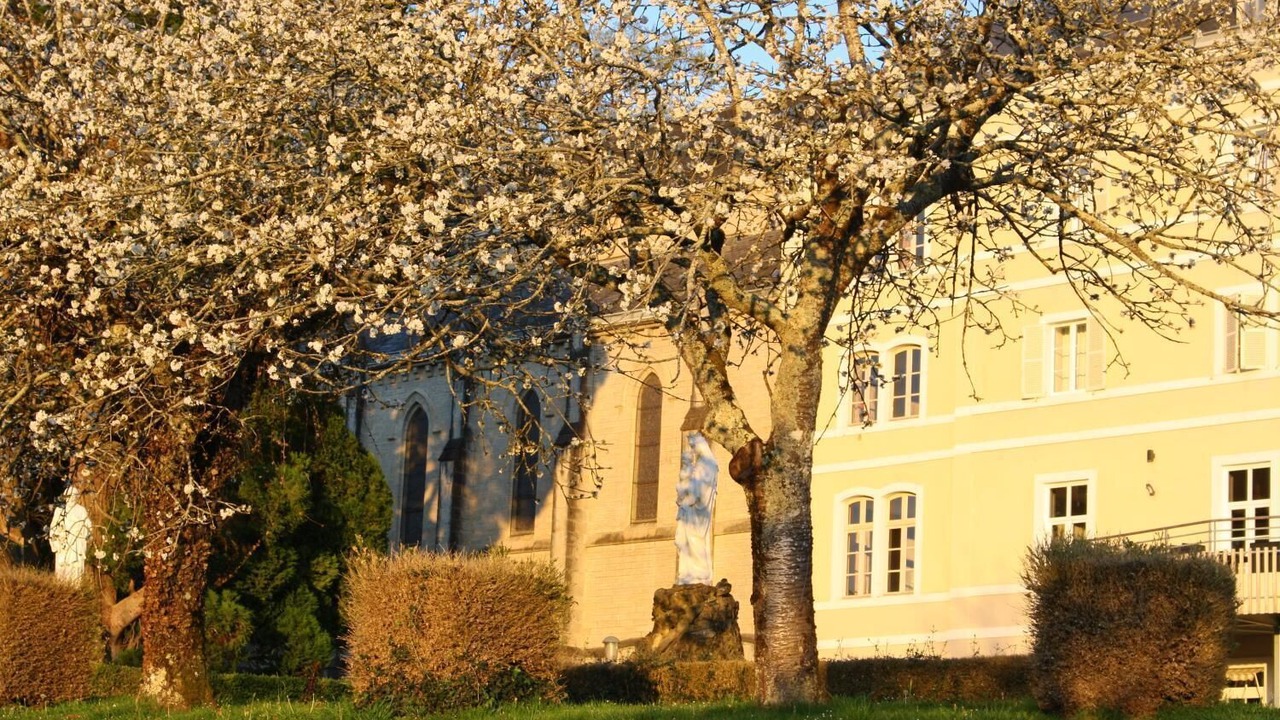 Photo of Buildings in Mauleon-Licharre